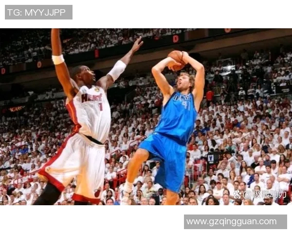 诺维茨基与大加的巅峰对决谁才是篮球历史上的真正巨星
