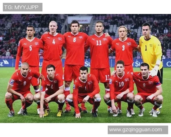 瑞士与卡塔尔足球历史交锋回顾及战绩分析